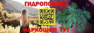 ALPHA PVP Будённовск