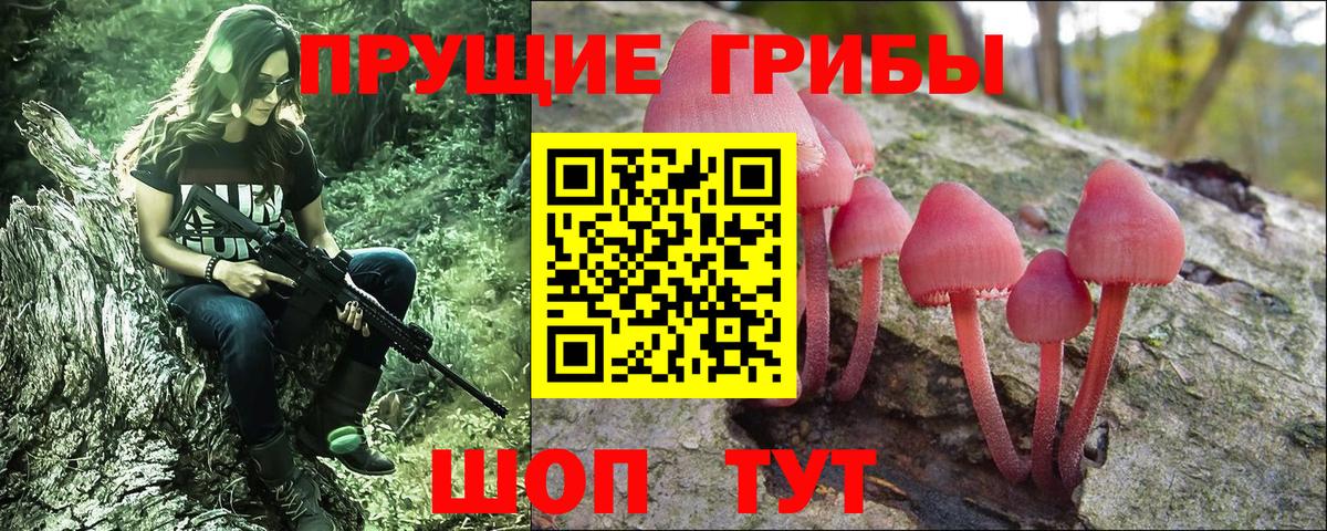 Псилоцибиновые грибы Psilocybine cubensis Сунжа
