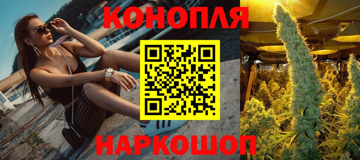 Каннабис Amnesia  Канабис планчик  Канабис семена  Вход с VPN  Каннабис сатива  Сунжа 